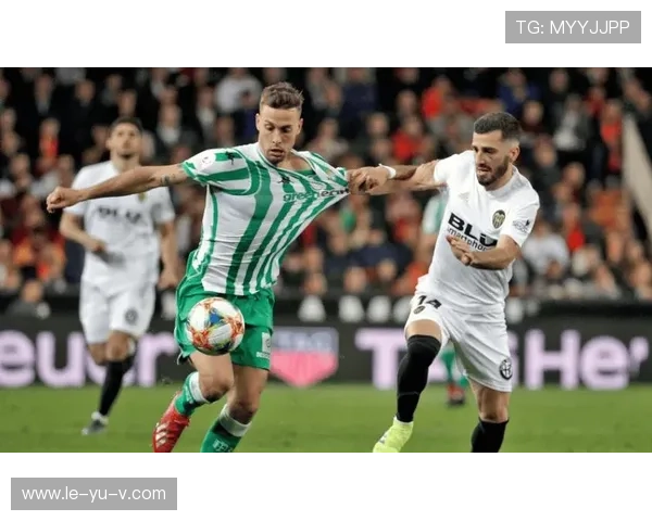 捷克防线坚如磐石,稳健表现令对手难破防守 捷克防线坚如磐石,稳健表现令对手难破防守